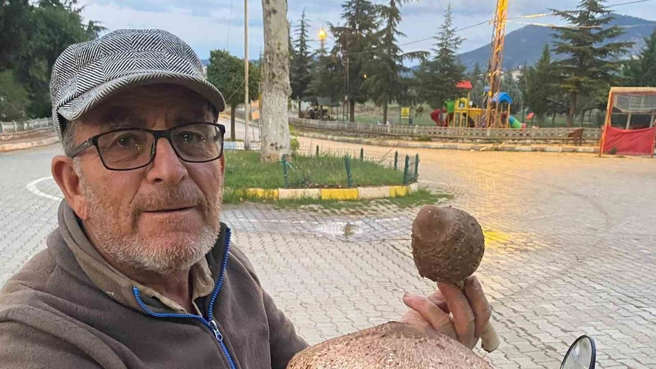 Beyşehir'de arazide bulunan dev külah mantarı mahalleyi şaşırttı