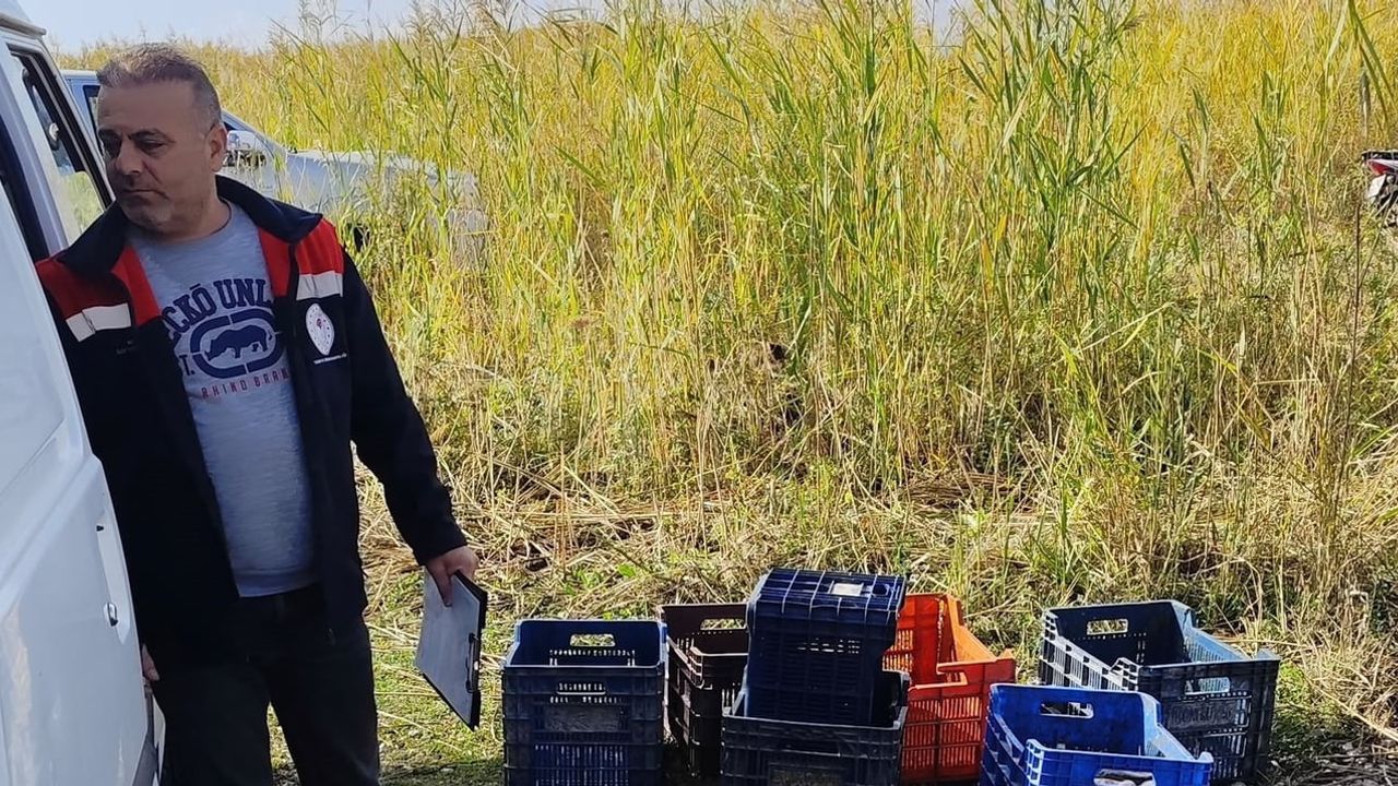 Beyşehir Gölü'nde 24 saat gözetim: yasa dışı avcılığa karşı sıkı denetim