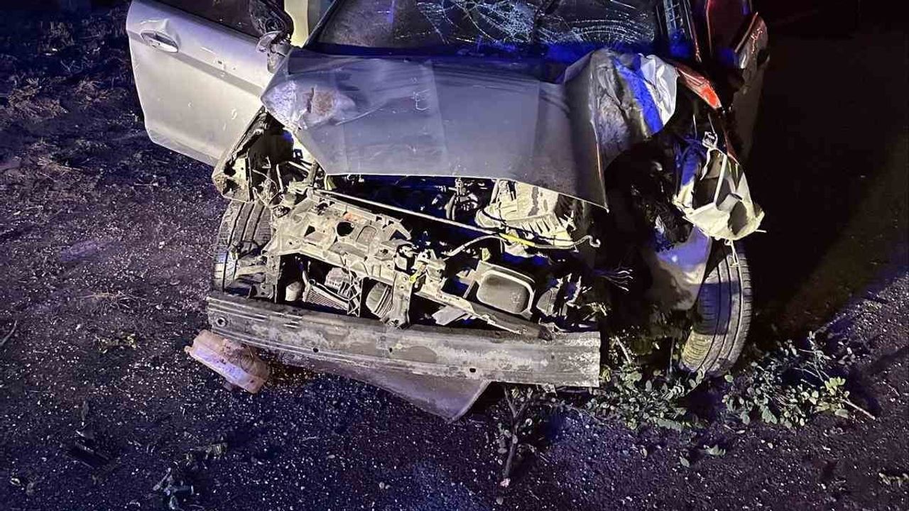 Bilecik'te sabaha karşı kontrolden çıkan araçta beş kişi yaralandı