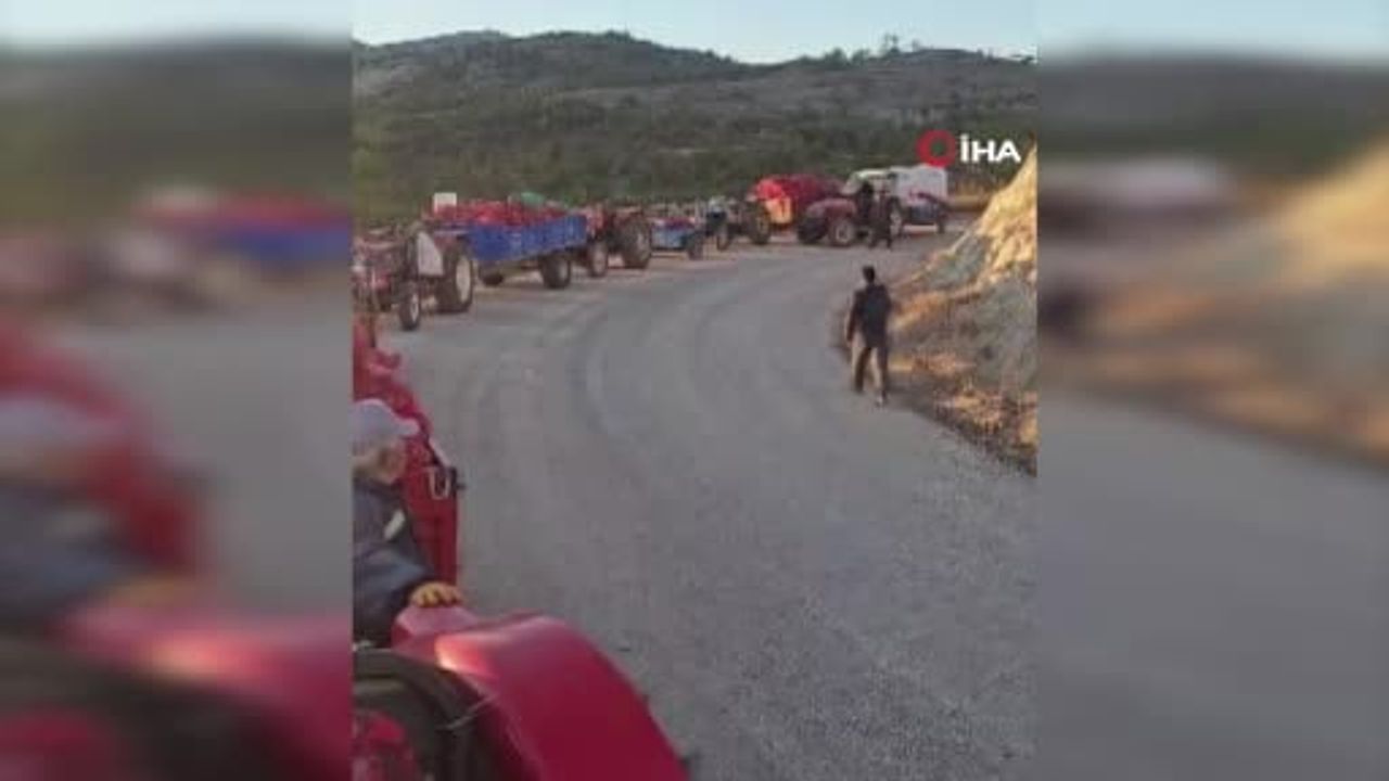 Bin rakımda ceviz bereketi: traktör konvoylarıyla satışa çıkan Büyükbelen