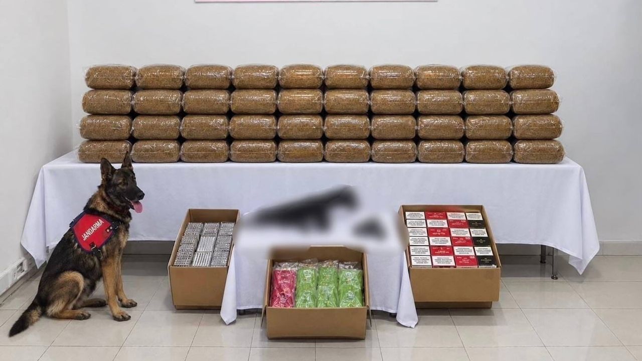 Bingöl'de eş zamanlı operasyonlarda aranan 4 kişi yakalandı ve tutuklandı