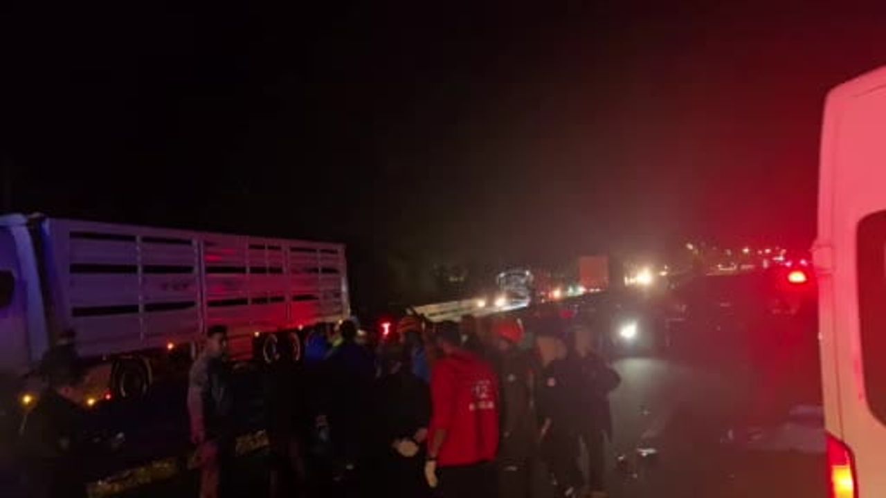 Bingöl'de Genç köprüsü'nde otomobil bariyere çarptı: 2 ölü, 2 yaralı