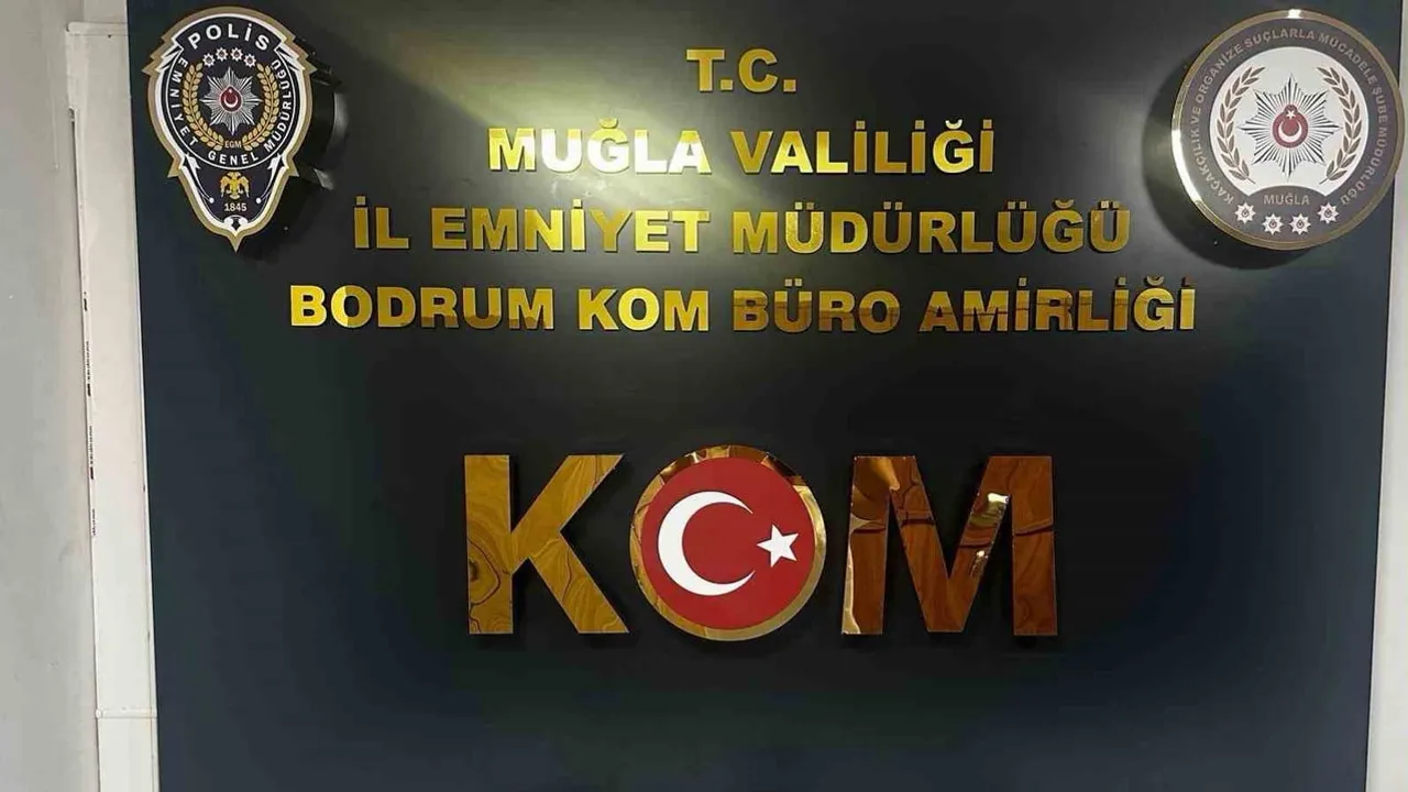Bodrum'da 46 bin 200 dolarlık sahte para ağı çöktü