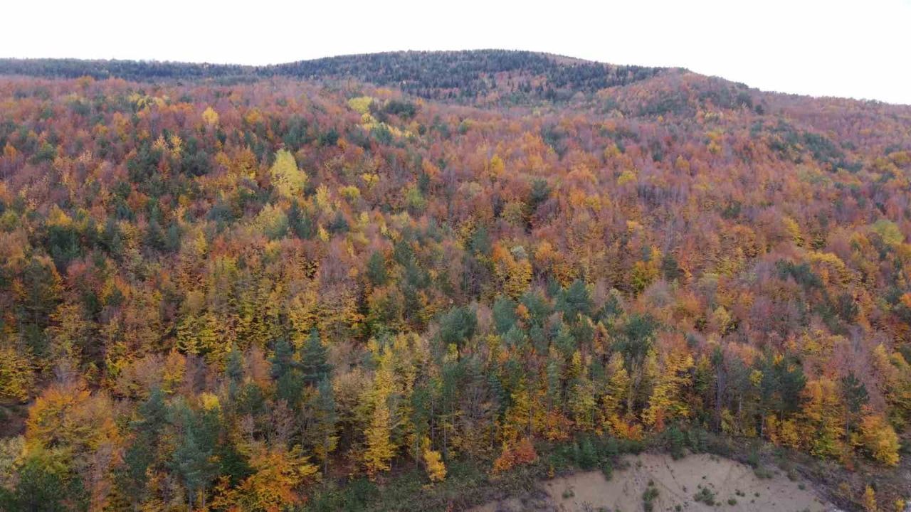 Bolu-Mudurnu kara yolunda sonbaharın renkleri kartpostallık manzaralar yaratıyor