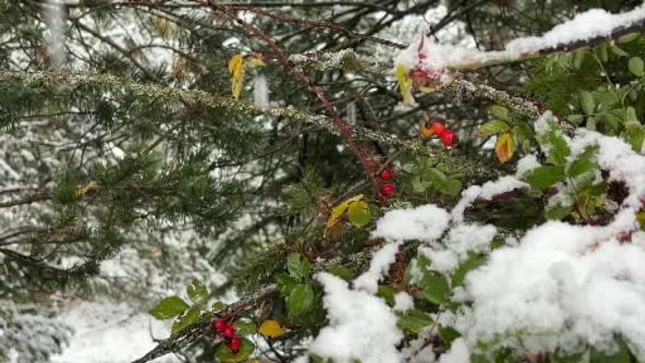 Bolu'nun zirvelerinde beyaz dönüşüm: Kartalkaya, Sarıalan ve Düvenlik örtüyle kaplandı