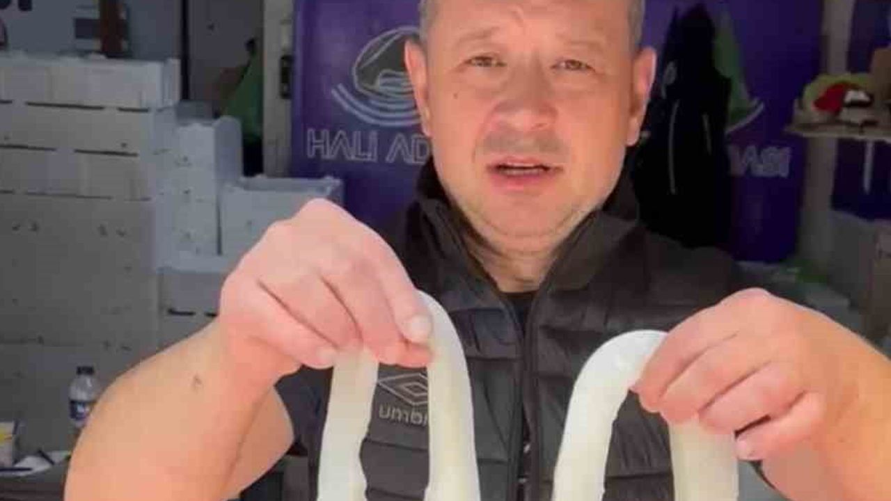 Bozcaada açıklarında 15 kiloluk dev kalamar yakalandı