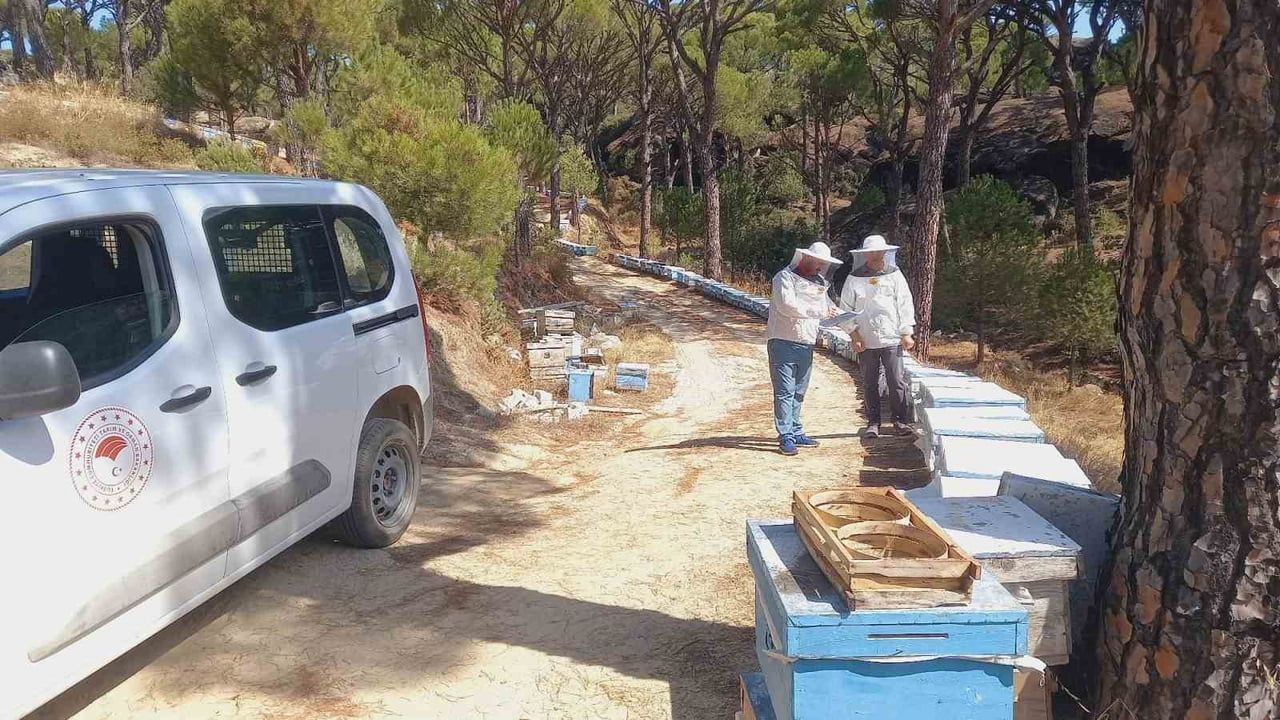 Bozdoğan'da kovan tespitleriyle arıcılık destek kayıtları güncelleniyor