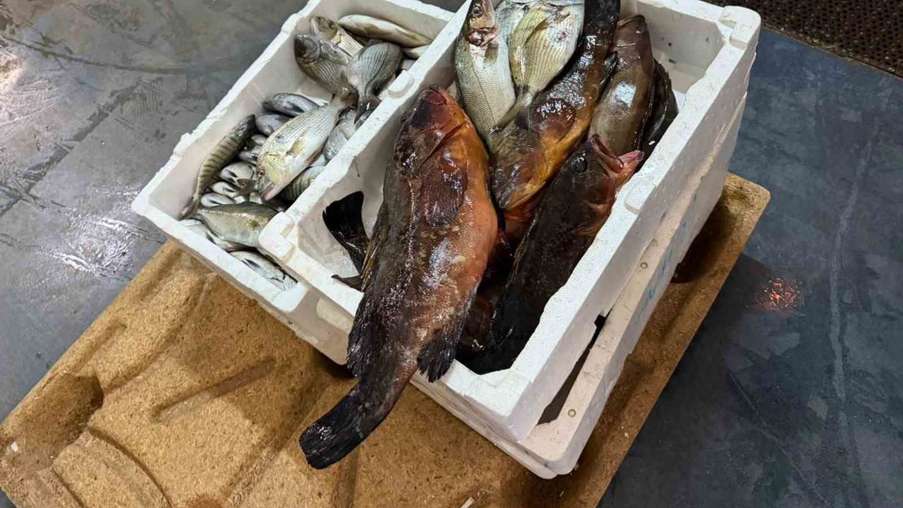 Buca'da gece denetimi: 45 kilo yasadışı su ürünü ele geçirildi