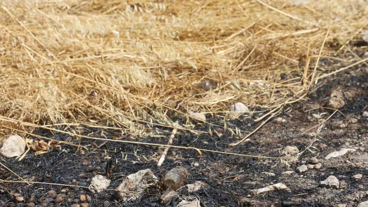 Cam şişe dikkatsizliği köyde yangın tehlikesi yarattı