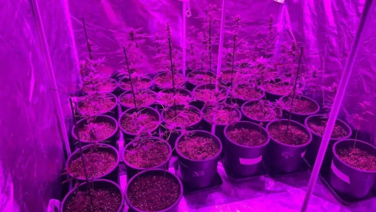 Çanakkale'de jandarmanın eş zamanlı operasyonunda 11 kişi tutuklandı