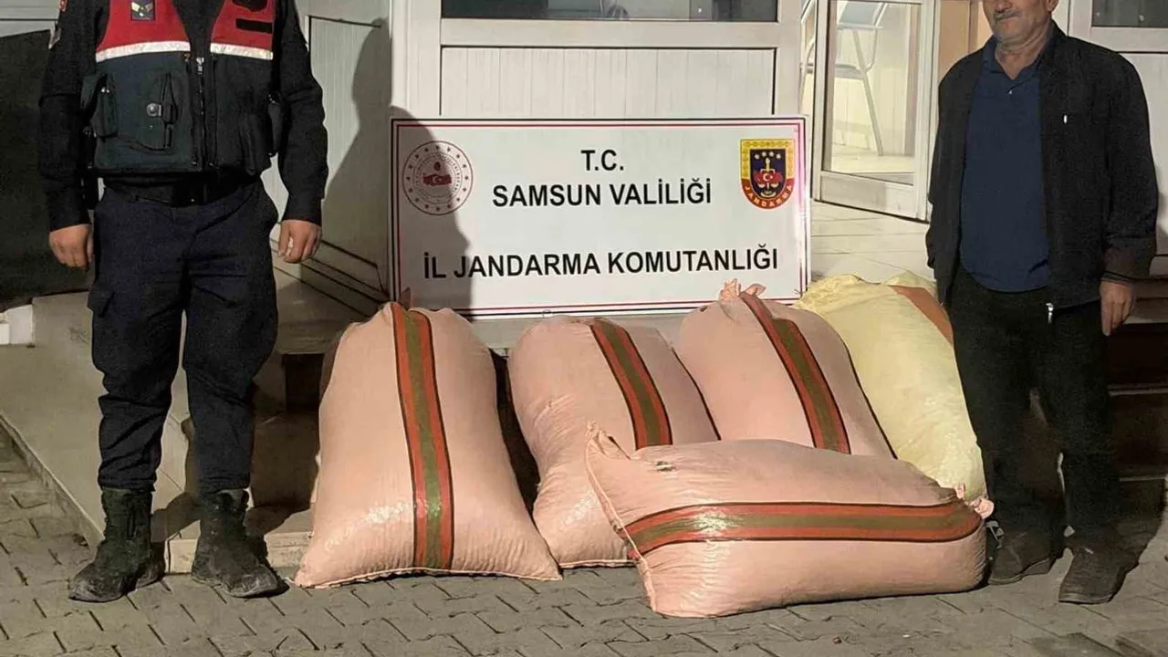 Çarşamba'da satılmak üzereyken ele geçirilen 300 kilogram fındıkla ilgili iki gözaltı