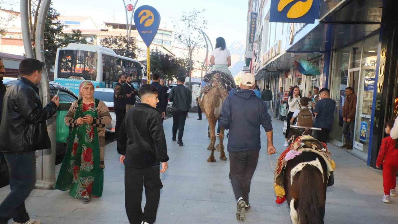 Çarşı merkezinde Hatay'dan gelen develer ve midilliler ilgi çekti