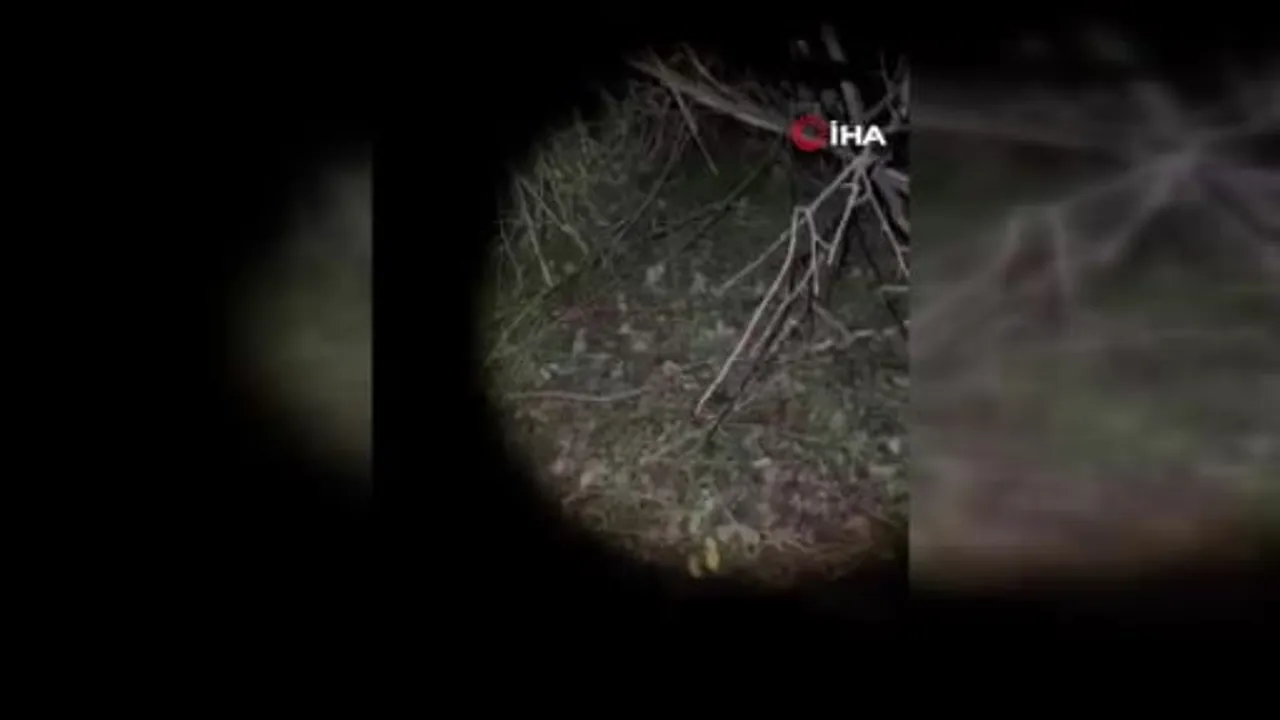 Çatalca ormanında gece boyu süren arama sonunda mantar toplayıcıları kurtarıldı