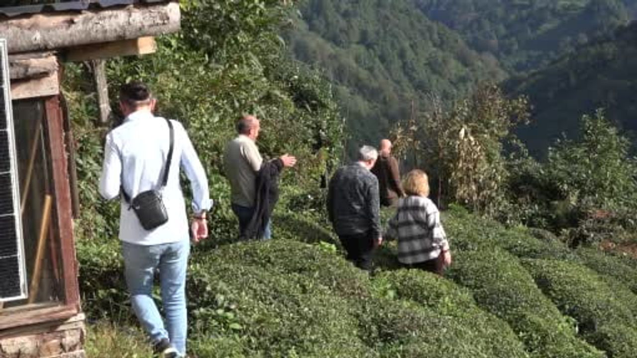 Çayeli'nin vadilerinde kaybolan gelenekler bilimle kayıt altına alınıyor