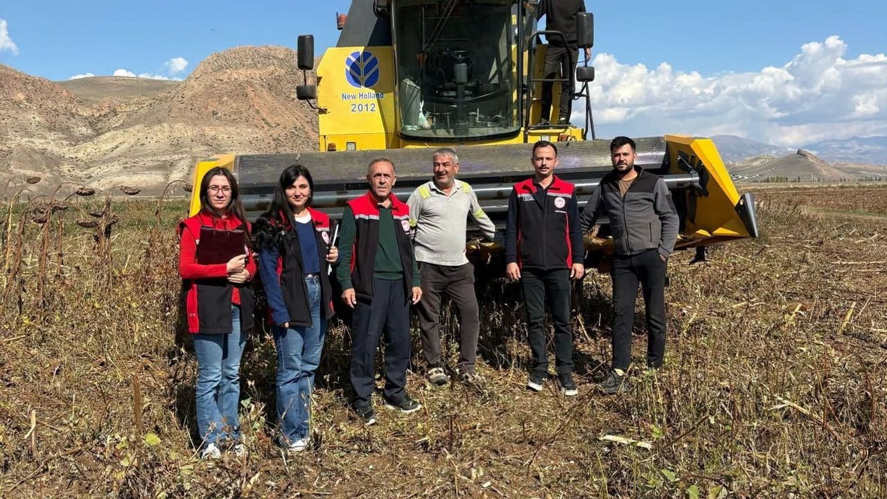 Çayırlı’da sıkı biçerdöver denetimiyle ayçiçeği hasadında verim hedefleniyor