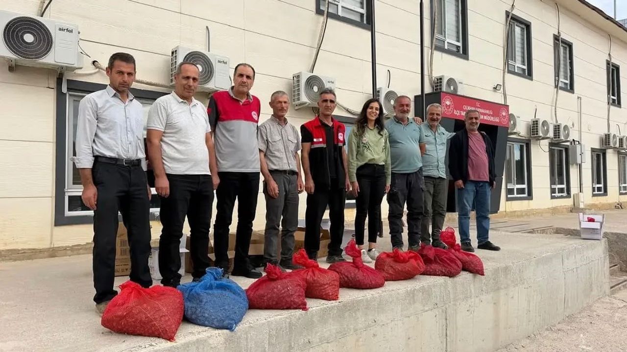 Çelikhan'da salep üretimine 90 kilogram yumru desteği
