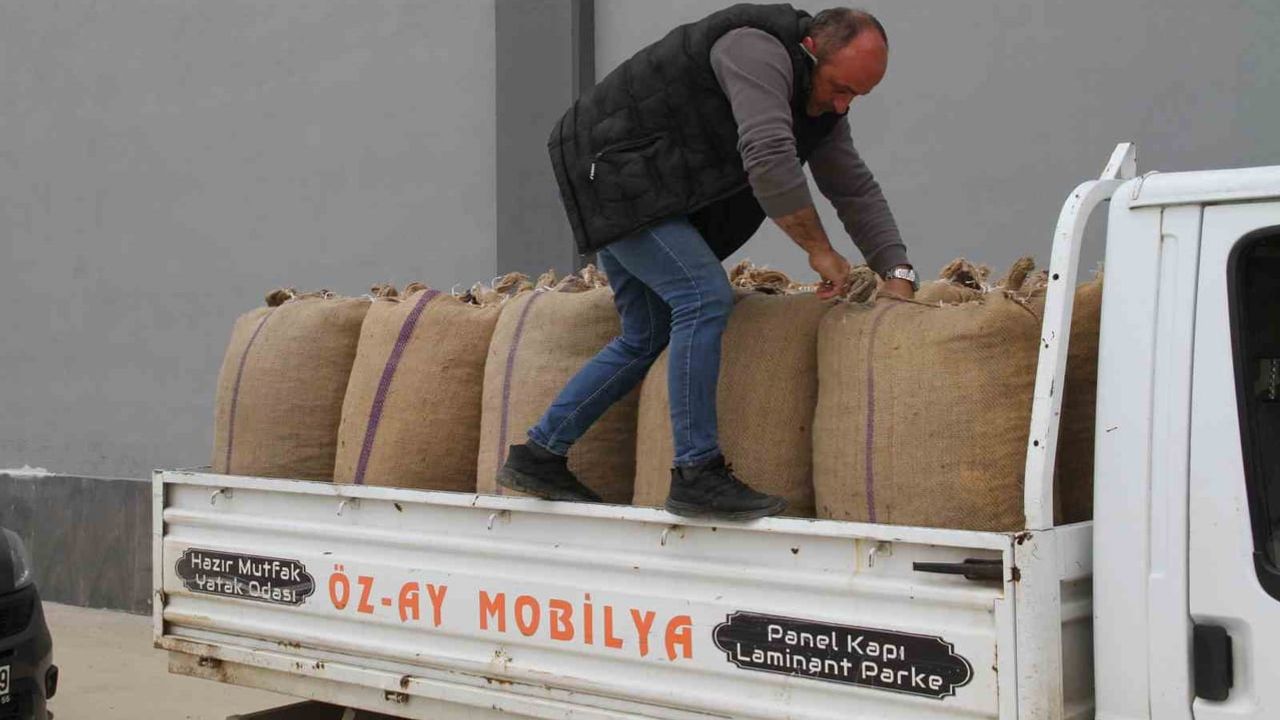 Çiftçi güvenini TMO'da buldu: Çarşamba fındık alım noktalarında yoğunluk