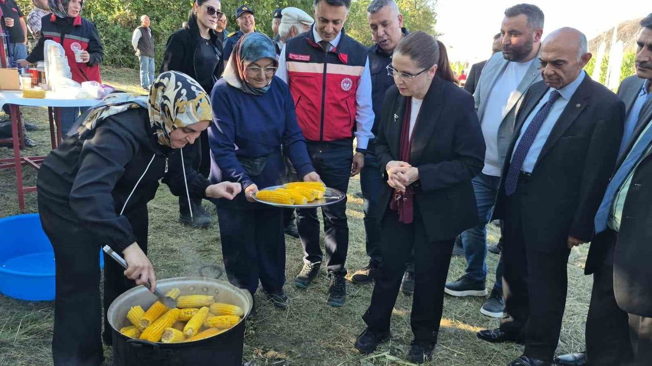 Çiftçinin yüzünü güldüren hasat: Bartın'da silajlık mısır bereketi