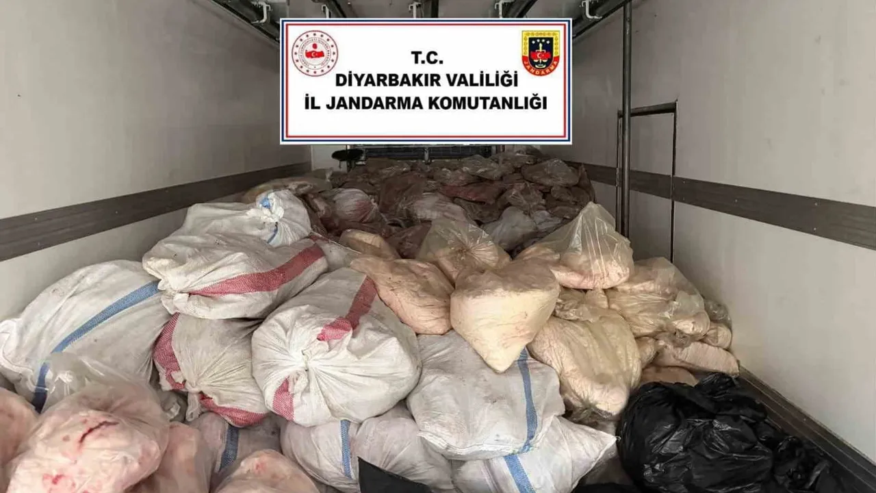 Çınar'da 8 tonluk sakatat baskını: gıda güvenliği için soruşturma başlatıldı