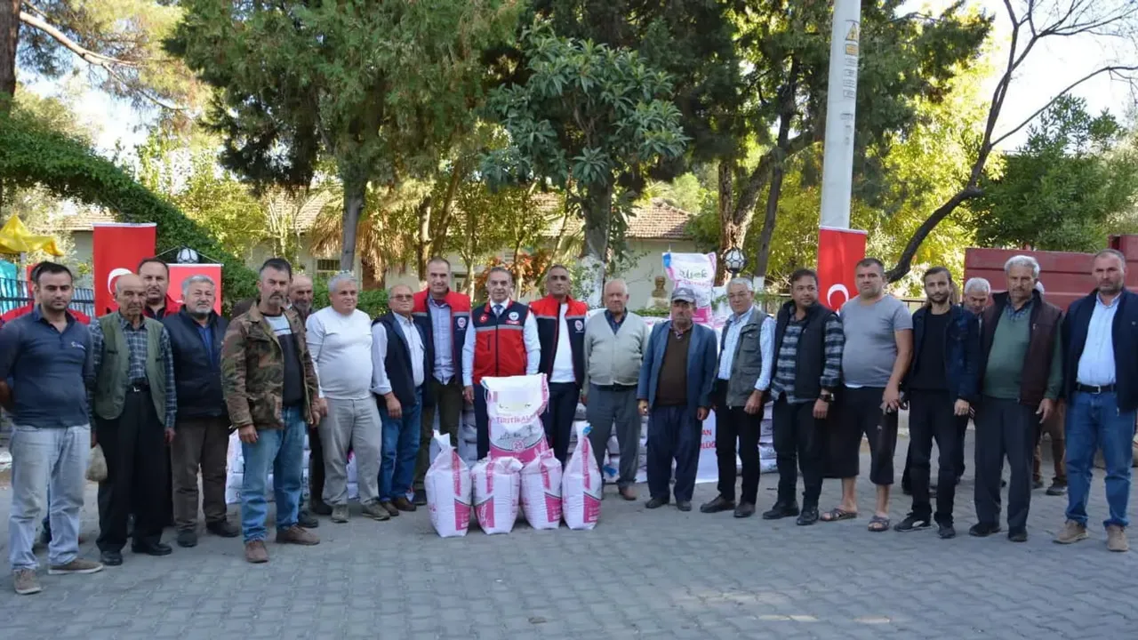 Çine'de meraların verimliliğini artırmak için üreticilere tritikale desteği