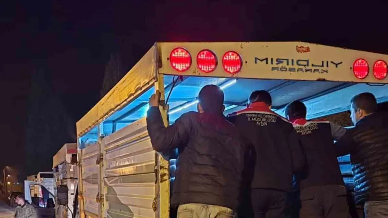 Çine hayvan pazarı sıkı denetimlerle güvenli ticarete açıldı