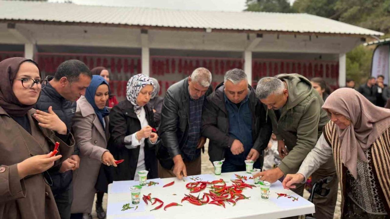 Çukurören'de acı biber rekabeti: protokol de ipe biber dizme yarışında yer aldı
