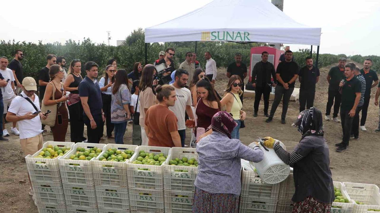 Çukurova'nın ürünleriyle tanışma günü: Sunar Yatırım hasat alanını açtı