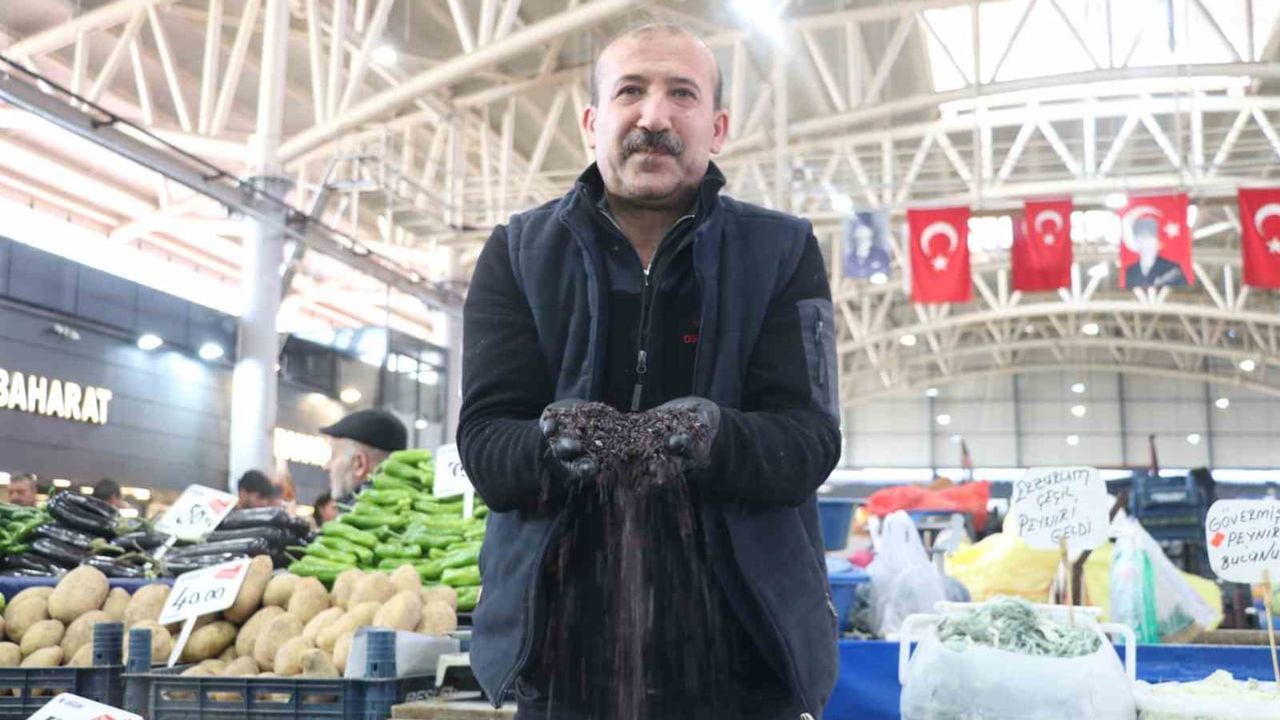 Dağdan tezgaha karamuk: kısa süren sezonun besin deposu