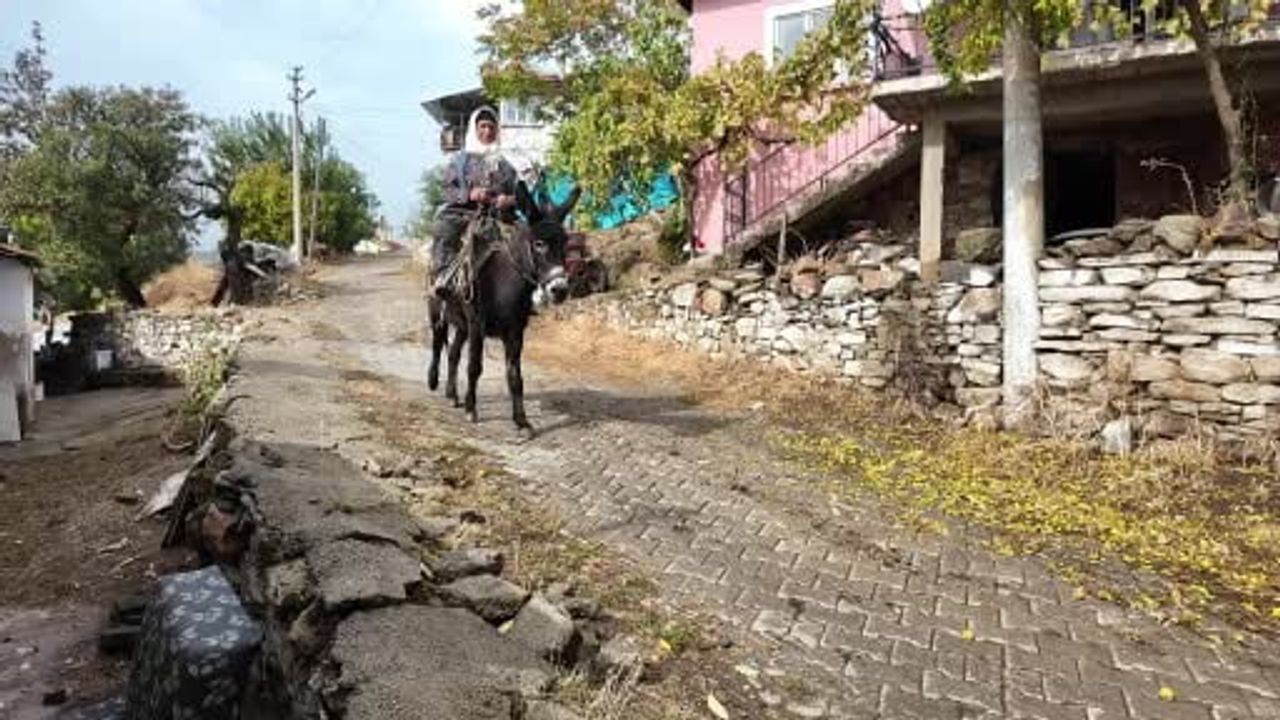 Dağlardan eve gelir: Demirci'nin çitlembik emeği