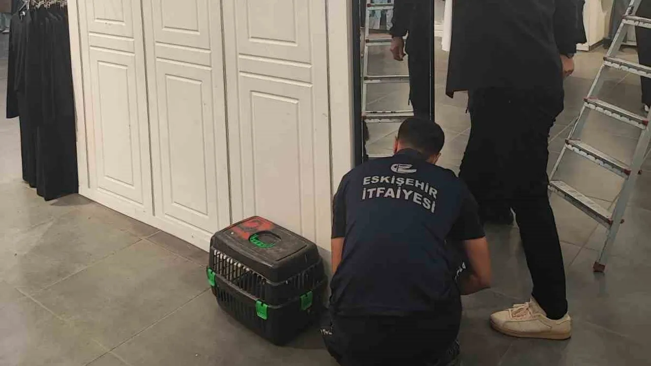 Dar aralıklarda hayat kurtaran müdahale: kediyle köpek itfaiyeden destek aldı