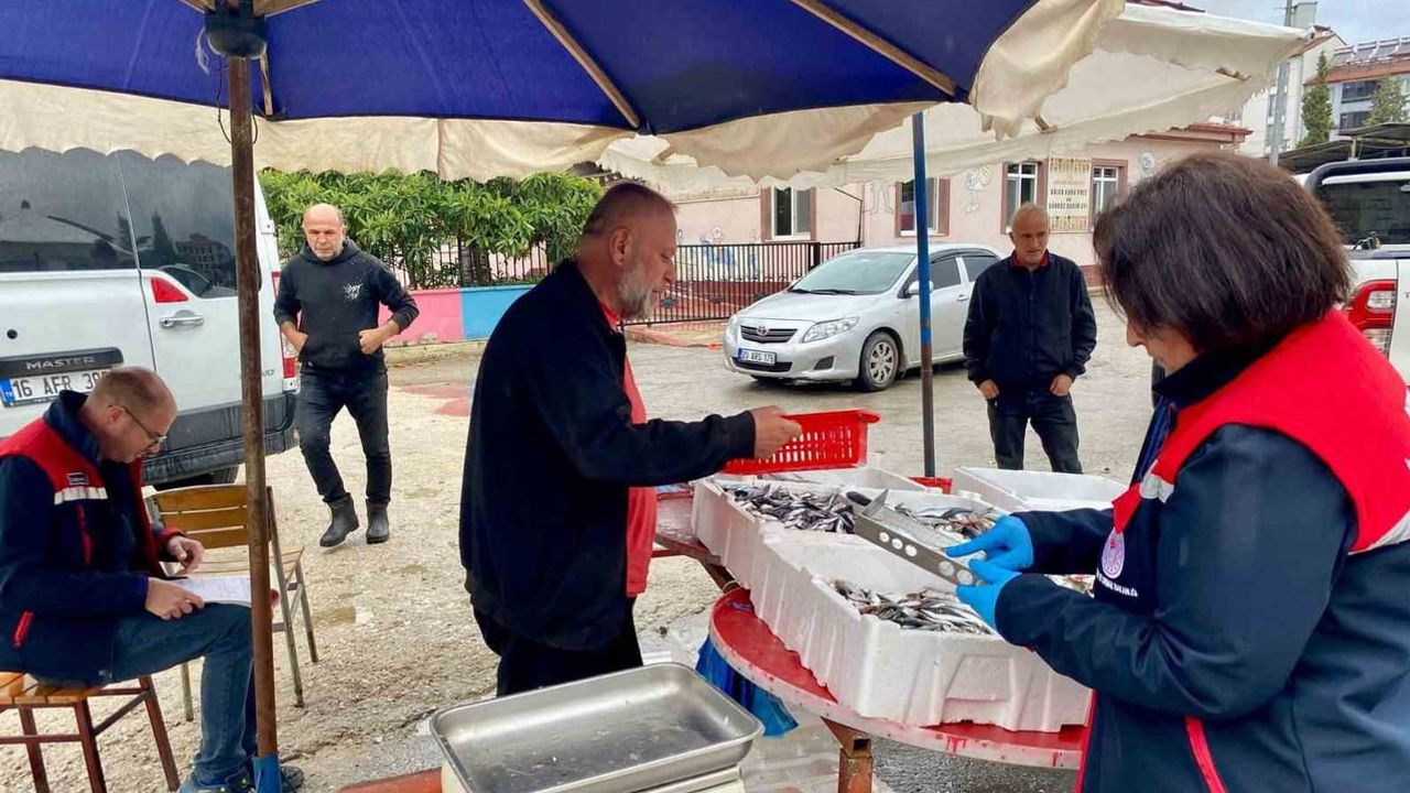 Dazkırı'da balık satışları yerinde denetlendi