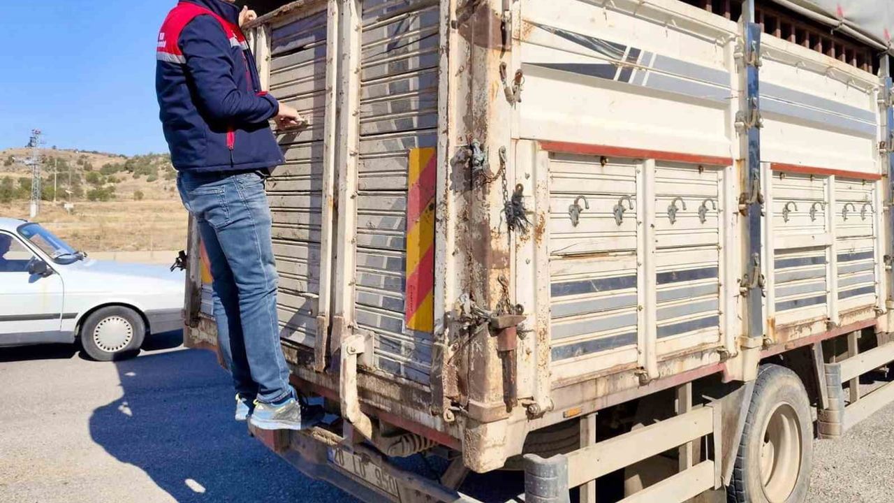 Dazkırı'da hayvan sevklerinde sıkı denetim: sağlık ve refah ön planda