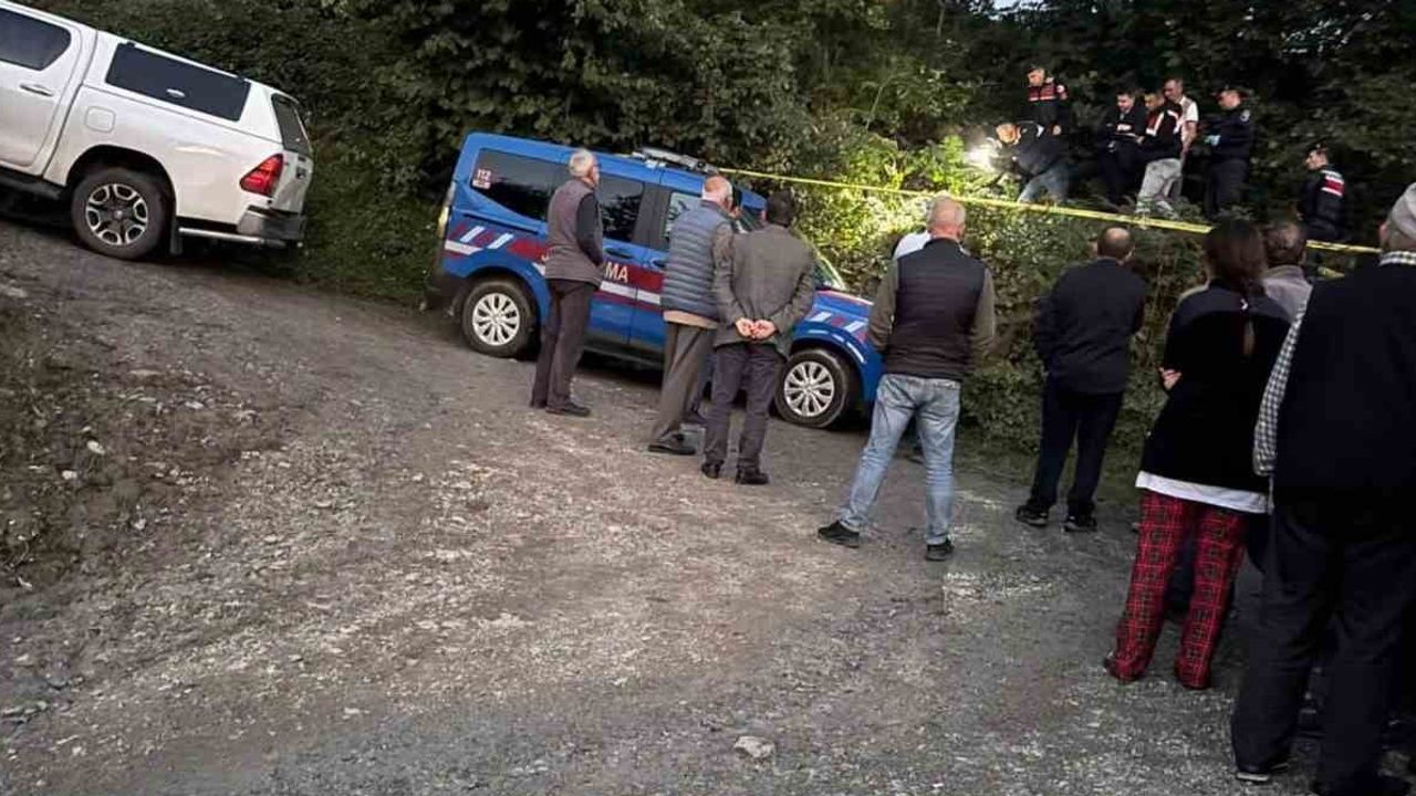Demircili köyünde fındık bahçesinde kaza: Ayla Kırım hayatını kaybetti