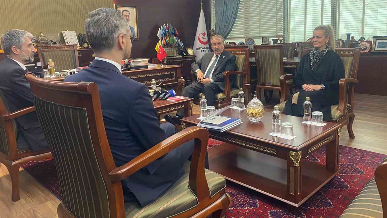 Destici: Türkiye krizlerde arabulucu ve denge unsuru oldu