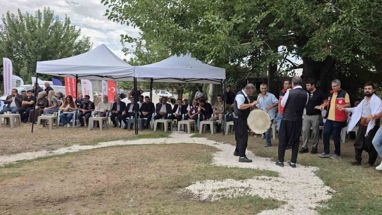 Dicle'de geleneksel bağ bozumu coşkuyla tamamlandı