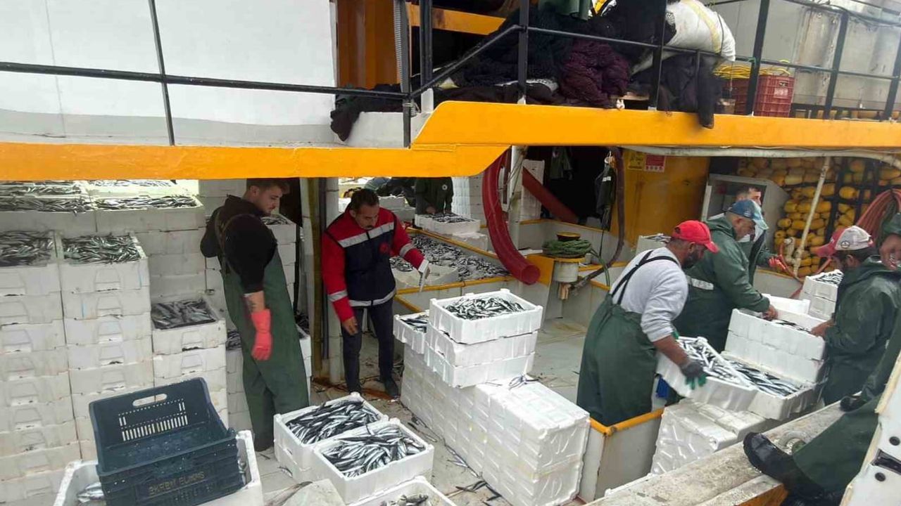 Didim'de hamsi kotası denetimleri: sürdürülebilir avcılık vurgusu