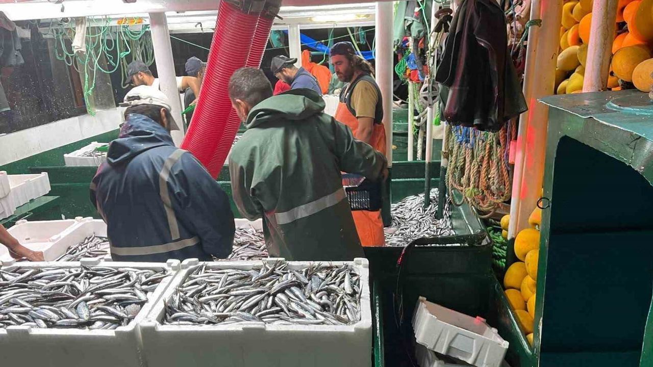 Didim'de sürdürülebilir avcılık için hamsi kotası denetimi