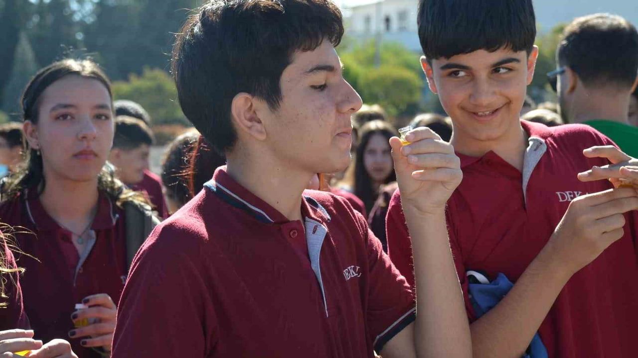 Didim zeytin festivali kortejle açıldı, rekor denemesi ve yarışmalar öne çıkıyor