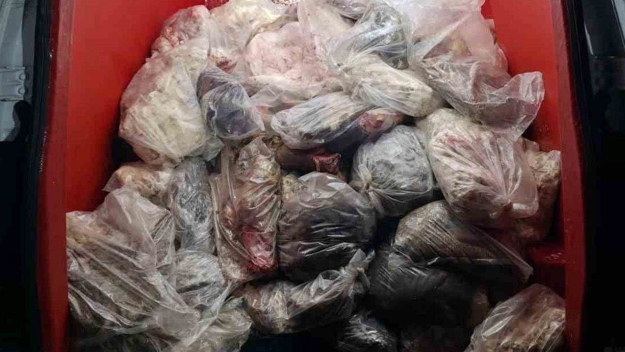 Diyarbakır Çınar'da yapılan kontrolde 820 kilo menşei belirsiz iç yağ ve sakatat ele geçirildi