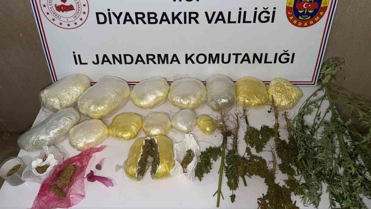 Diyarbakır’da suç zincirine büyük darbe: 59 bin kök kenevir ve 109 kilo uyuşturucu ele geçirildi