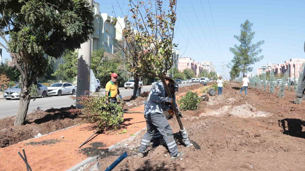 Diyarbakır’da üç ayda yeşile dönüşüm hızlandı: hedef 21 bin ağaç ve 580 bin m²