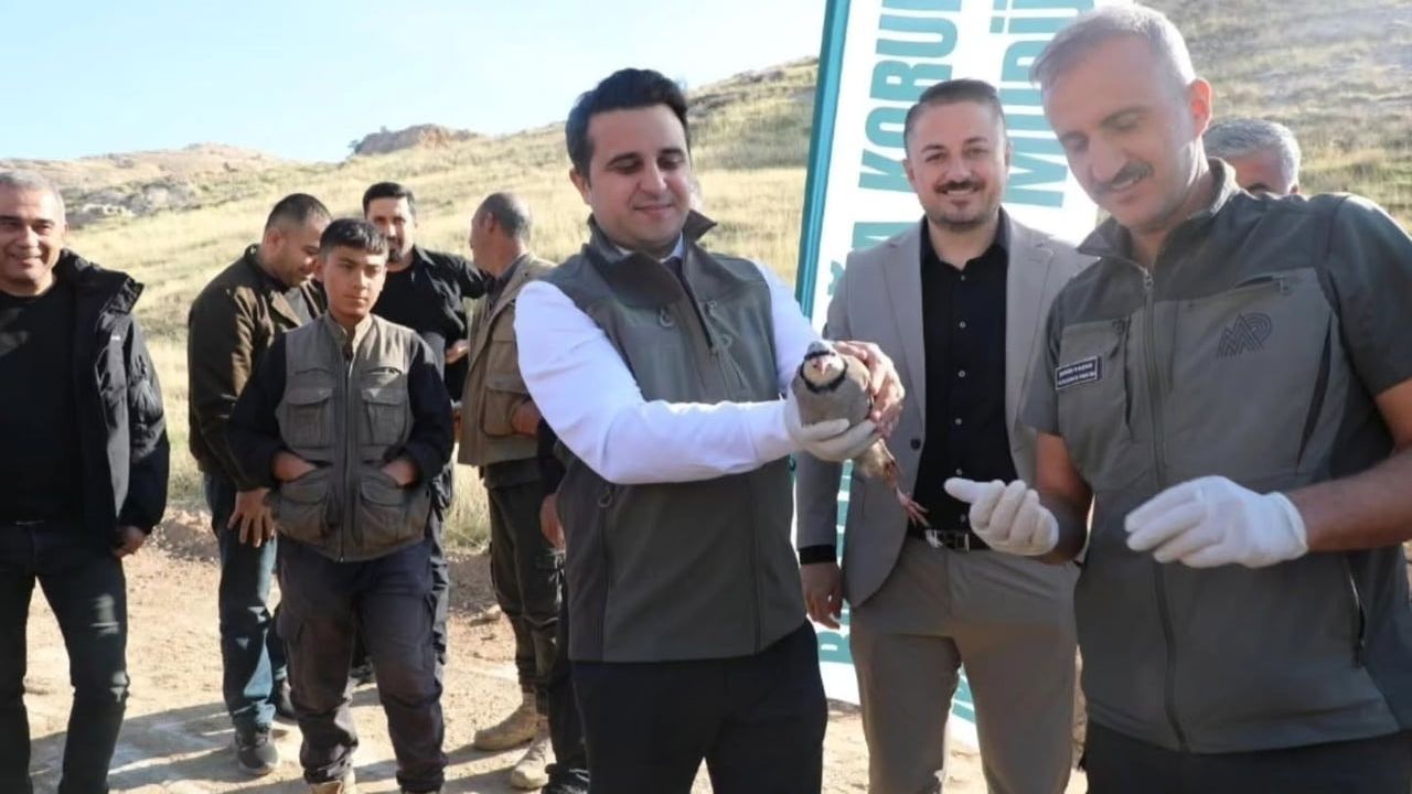 Doğayı güçlendirme adımı: 300 keklik Batman kırsalına salındı