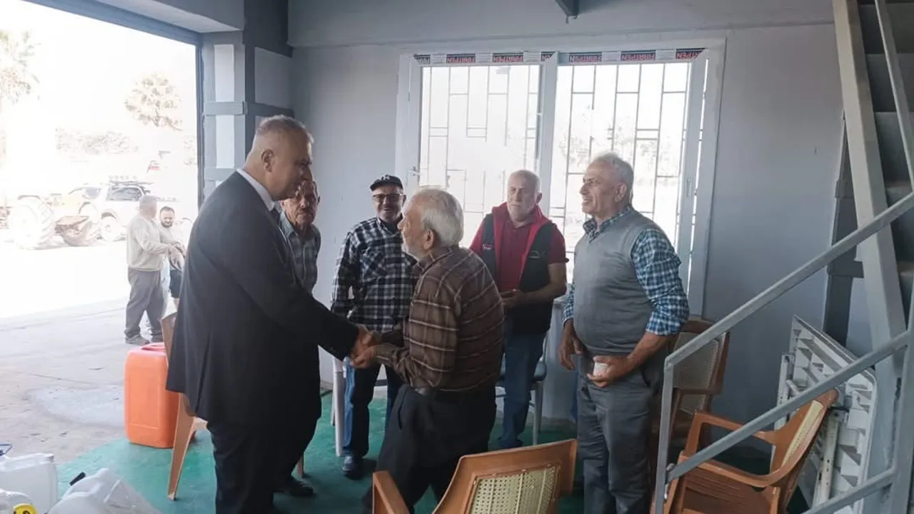 Doğru hasat ve taşıma zeytinyağında kaliteyi belirliyor