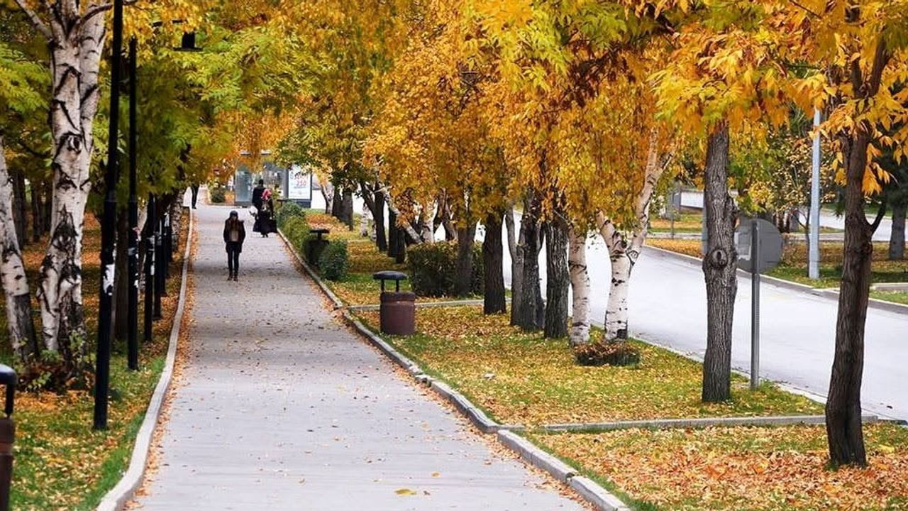 Doğu Anadolu'da öğleden sonra gök gürültülü sağanak beklentisi