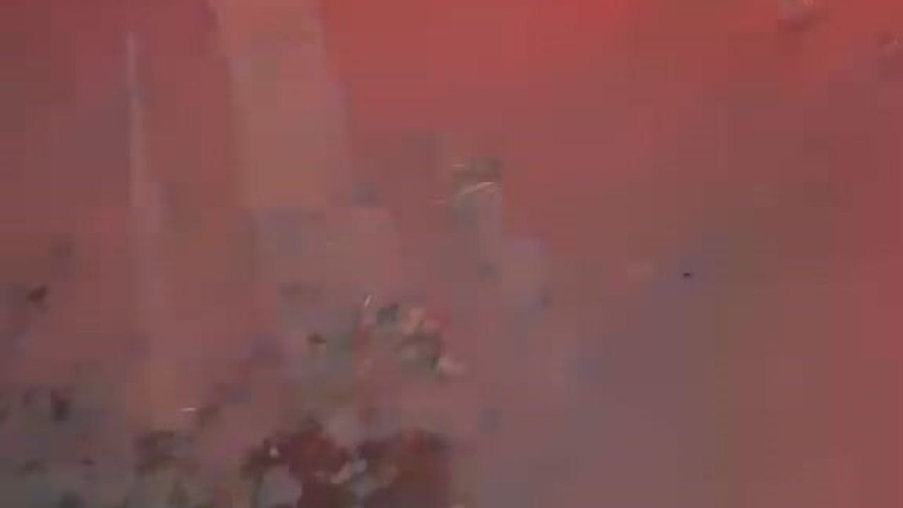 Doğubayazıt'ta büyükbaşlara çarpan otomobilde üç genç yaralandı
