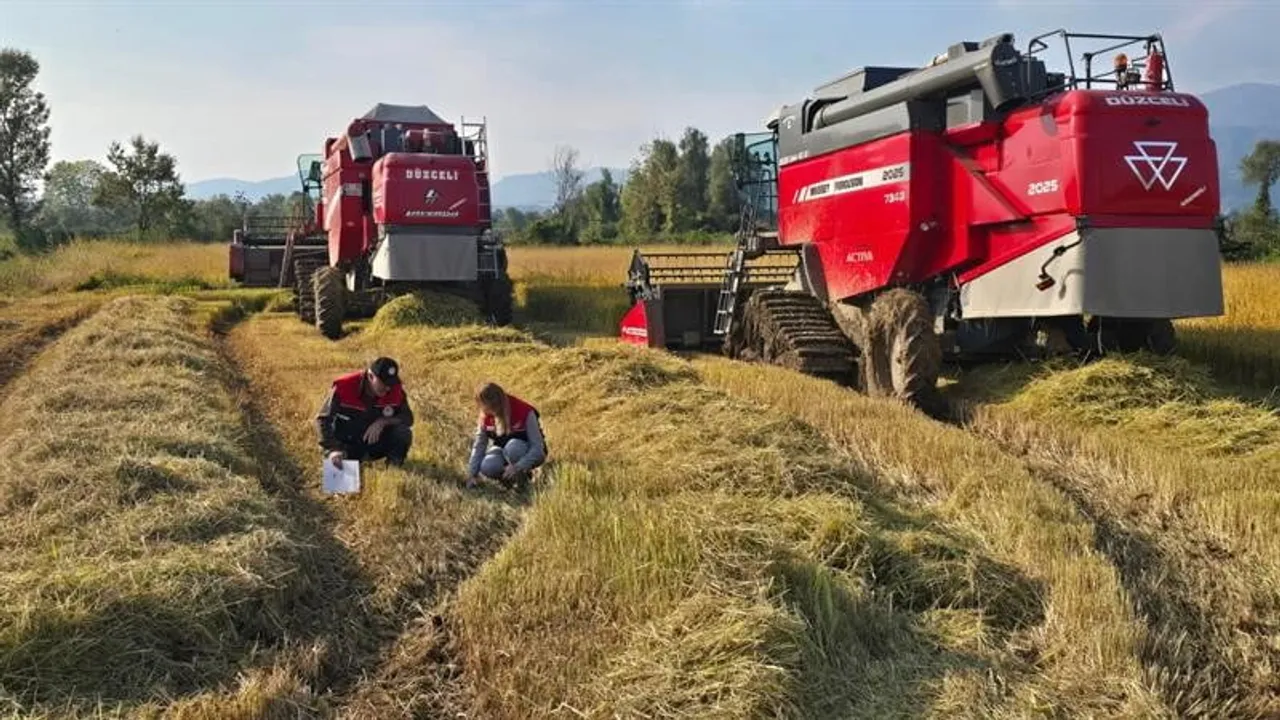 Düzce'de tarlada verim koruma seferberliği: biçerdöver denetimleri yoğun