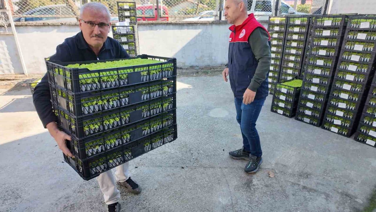 Düzce'de üretime güç veren destek: fide ve tohumla 2,6 milyonluk yatırım