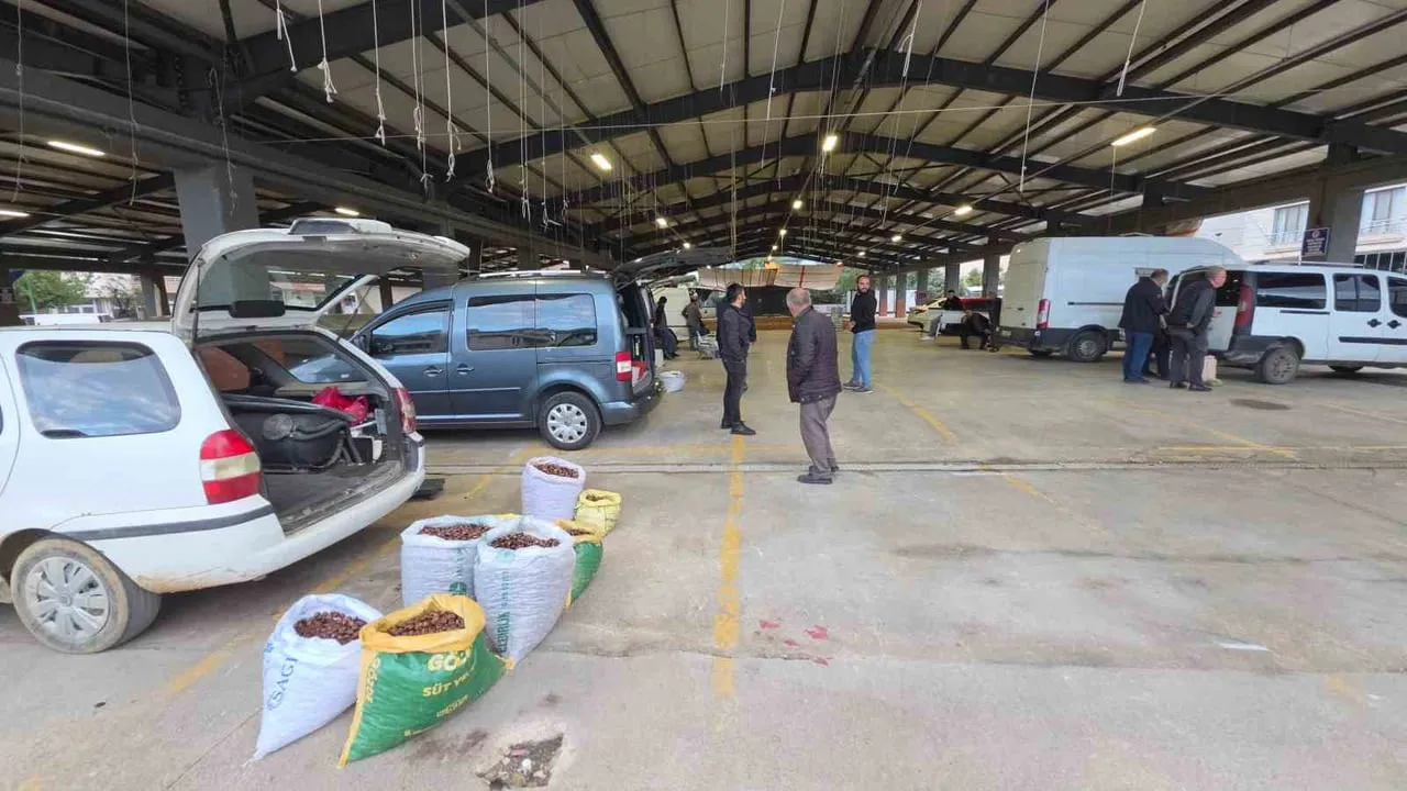 Düzce’den sofralara yeni sezon: ince kabuklu kuzu kestanesi tezgâhlarda