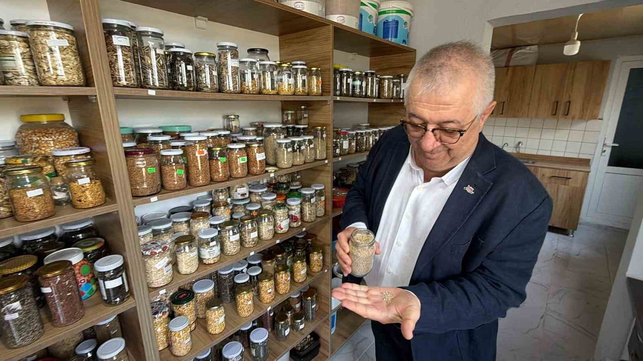 Edremit'te 137 çeşit ata tohumu gelecek kuşaklara miras oluyor