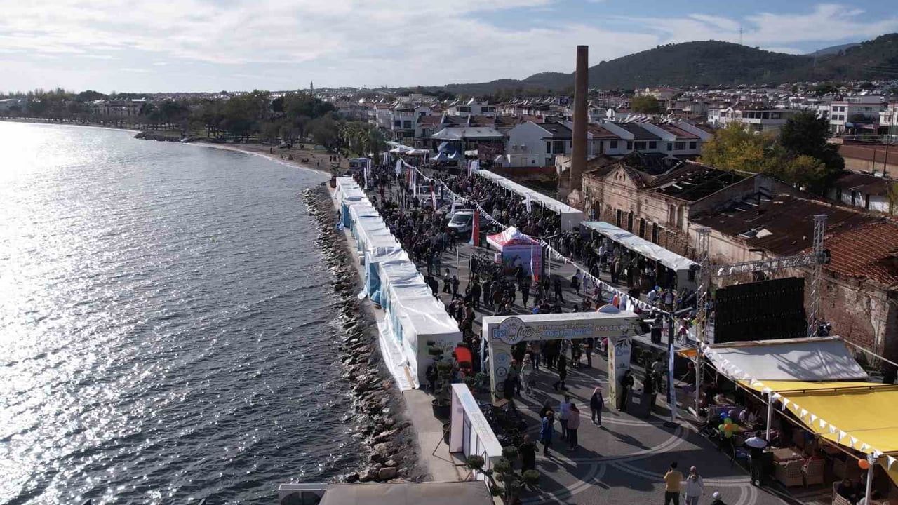 Edremit'te festivale hazırlık: 13 bin kişiyle zeytinyağı tadımında rekor hedefi